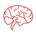 Head Brain & Nervous-System