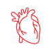 Heart & Blood Circulation
